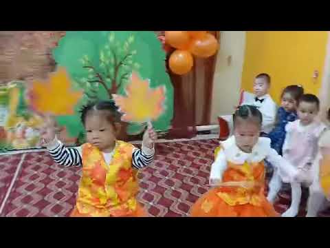 Видео: Дили осенний балл