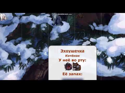 Видео: Спустя восемь лет вернулась на CatWar !! | Прохождение | Северный Клан?! | Обновления
