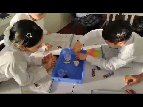 Видео: 6 "А"сыныбымен Бейтараптану дегеніз не тақырыбында өткізілген жаратылыстану сабағынан үзінді.