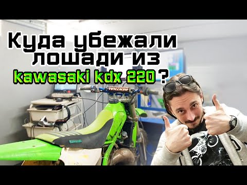 Видео: КУДА УБЕЖАЛИ ЛОШАДИ KAWASAKI KDX220  - СЕКРЕТ ОТКРЫТ