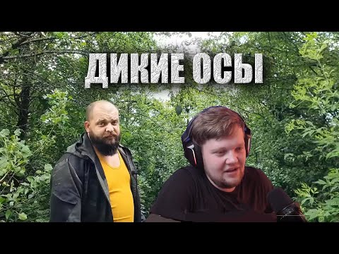 Видео: Вангоу смотрит "ЕДА ДЛЯ ВЫЖИВАНИЯ В ПРИРОДНЫХ УСЛОВИЯХ - ДИКИЕ ОСЫ"