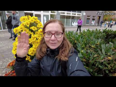 Видео: ПРАЗДНИК ХРИЗАНТЕМ В ГЕРМАНИИ. Lahr Schwarzwald 2025