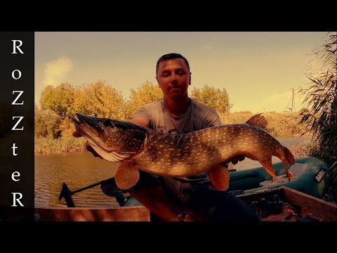 Видео: Огромная щука на малой речке. Трофей сезона.