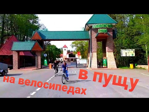 Видео: Сказочная Пуща . На велосипедах Брест - Беловежская пуща - Брест | Велопробег