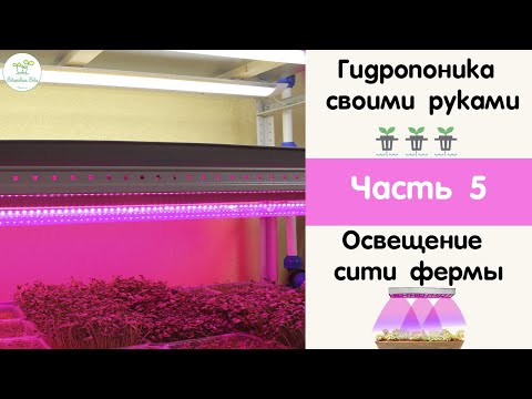 Видео: Светильники для выращивания микрозелени, освещение фермы