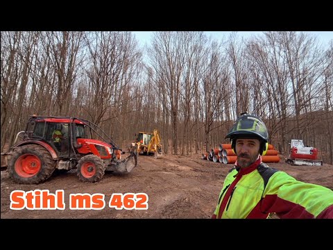 Видео: Вырубка деревьев вдоль ремонтируемой, расширяемой и укрепляемой дороги, Амлес, Stihl ms 462