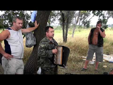 Видео: ОТКРЫТИЕ ОХОТЫ