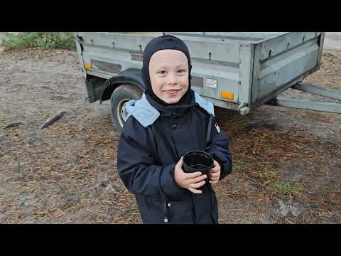 Видео: покатушки