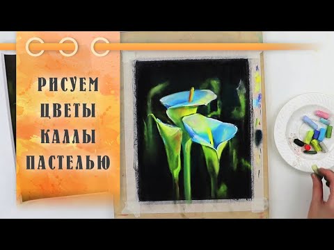 Видео: Урок || Рисуем Цветы Каллы Сухой Пастелью - Натюрморт За 20 Минут!