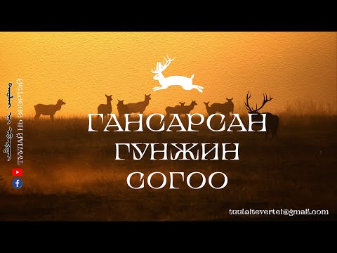 Видео: ГАНСАРСАН ГУНЖИН СОГОО