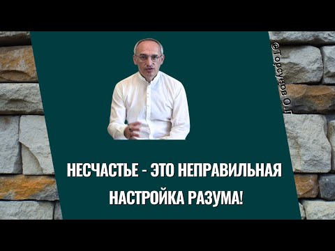 Видео: Несчастье - это неправильная настройка разума! Торсунов лекции