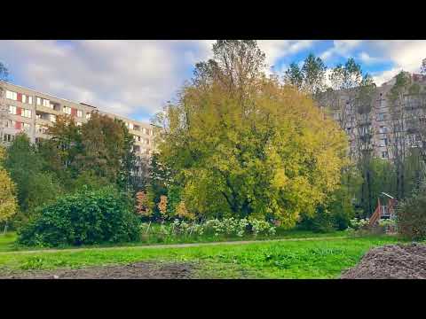Видео: Всем доброго утра и прекрасного дня пятницы друзья 10.10.+  мира тепла 