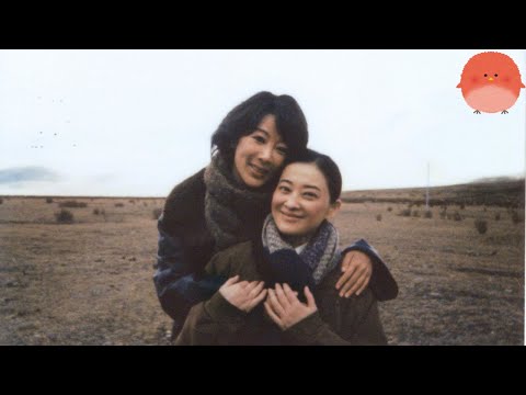 Видео: 💥 «183 дня, один Polaroid, бесчисленные слезы. Правда о вирусном фото Ян Цзы и Мэй Тин!»