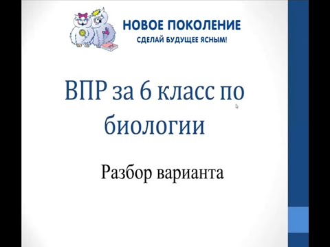 Видео: Биология. Разбор варианта ВПР по биологии 6 класс