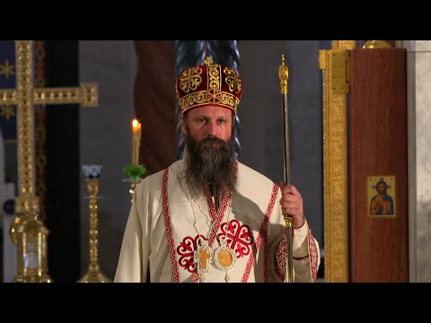 Видео: Приступна беседа Епископа новобрдског Г. Илариона