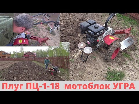 Видео: Плуг ПЦ-1-18 и мотоблок Угра. Купил за недорого, пробую пахать.