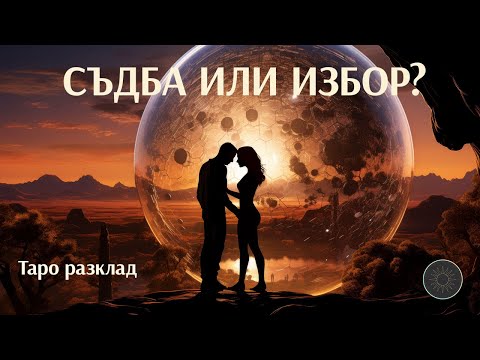 Видео: Каква е тази връзка?😱 Съдба или избор?