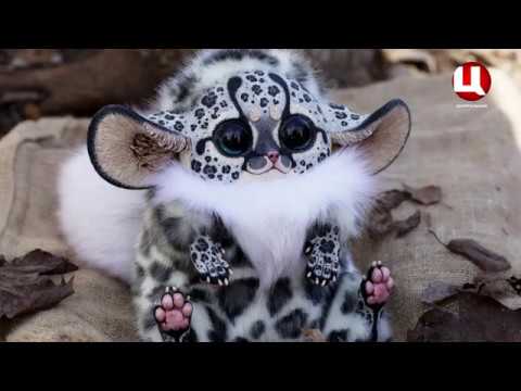 Видео: Цікавинки "Найстрашніші тварини світу"