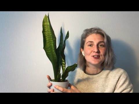 Видео: День рождения 13 Числа Ни от чего не отказываться и расширять систему 13 Аркан Трансформации