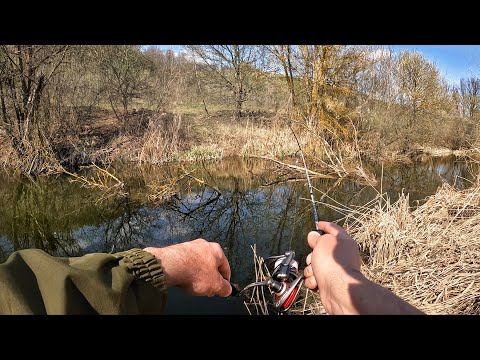 Видео: КРУПНЯК ИЗ КОРЯГ! Мормышинг в АПРЕЛЕ на ПЛОТВУ! НОВАЯ ПРИМАНКА для Мормышки