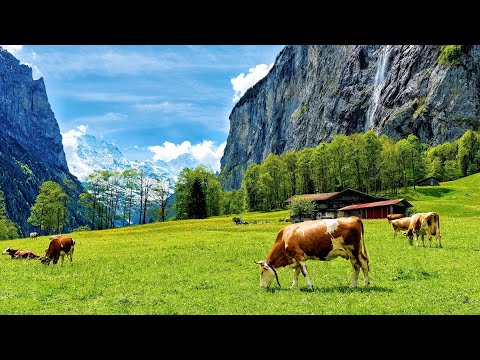 Видео: Лето в деревне Лаутербруннен, Швейцария🇨🇭Пешеходная экскурсия по швейцарской долине