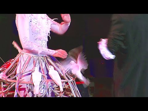 Видео: Circus. Super-Illusionist. Pigeons. Цирк. Супер-Иллюзионист-фокусник. Голуби.