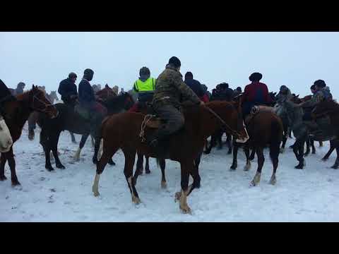 Видео: кокпору карабалта шары