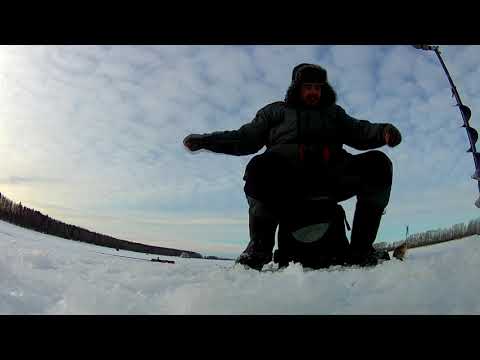 Видео: Рыбалка на Севере Тюменской области...
