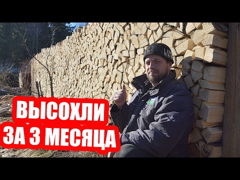 Видео: ВСЁ о заготовке дров в ОДНОМ ВИДЕО! От распиловки бревна до сухого полена