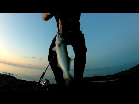 Видео: Риболов на лефер - 13.07.22