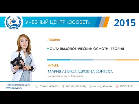 Видео: М. А. Войтеха в УЦ «Зоовет» | Офтальмологический осмотр - теория
