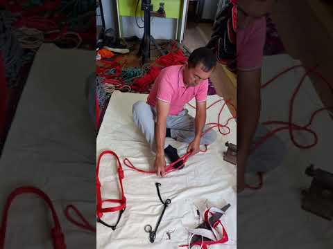 Видео: Ат абзелдері