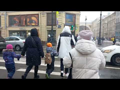 Видео: Моя прогулка по Питеру(фрагмент) и по приезду домой.