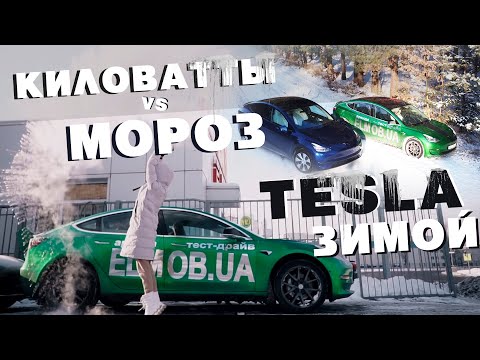 Видео: Высадили TESLA в НОЛЬ. Расход и пробег Тесла зимой. кВт против холода.