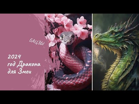 Видео: ГОД ДРАКОНА ДЛЯ РОЖДЕННЫХ В ГОД ЗМЕИ | БАЦЗЫ | 2024
