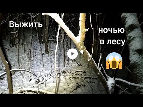 Видео: Секрет НКВД, как выжить в лесу зимой. Мужик ушёл в лес и там 😱🥶🥶