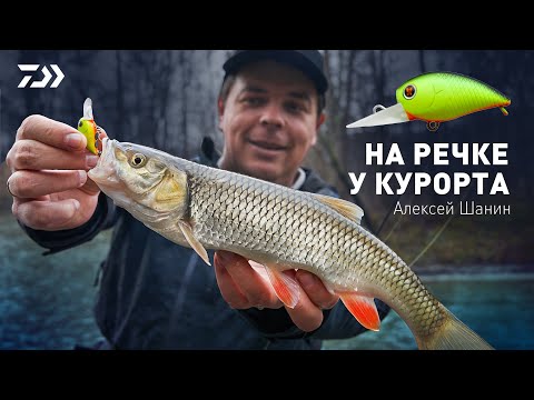 Видео: НА РЕЧКЕ У КУРОРТА / АЛЕКСЕЙ ШАНИН