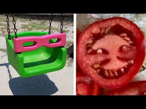 Видео: Ловко прикинулись чем-то другим!