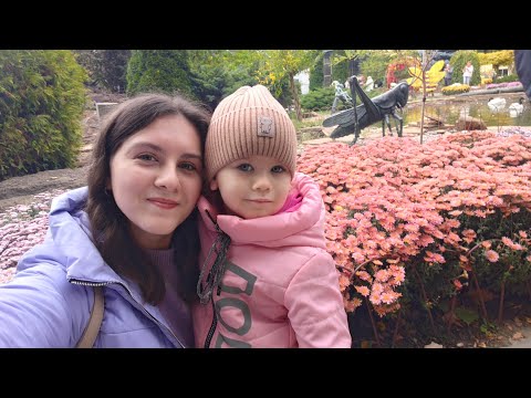 Видео: Открытие Бала хризантем в экопарке Фельдмана. 