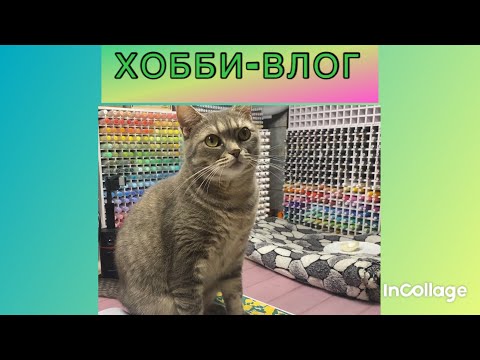 Видео: ХОББИ-ВЛОГ/ Отвечаю на ваши комментарии 😉