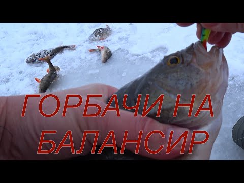 Видео: ОКУНЯРЫ НА БАЛАНСИР! КАК УДАЛОСЬ РАСКАЧАТЬ ЛУНКУ? Начало рыбалочки не предвещало хорошее завершение!