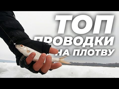 Видео: ТОП-5 проводок на плотву