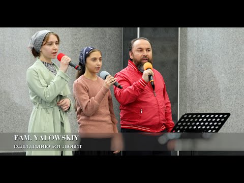 Видео: Если лилию Бог любит. Fam. Yalowskiy