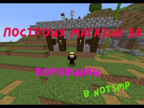 Видео: Направих магазин за боровинки