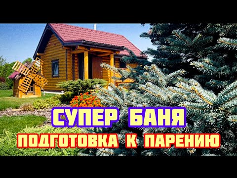 Видео: БАНЯ МЕЧТЫ / Подготовка к парению /уборка бани /трудности