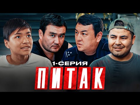 Видео: ПИТАК 1 Серия