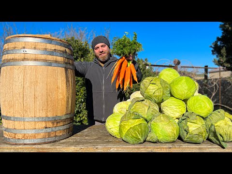 Видео: Собираем Свежий Урожай и Готовим Квашеную Капусту С Вкуснейшими Сосисками