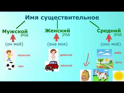 Видео: Род имён существительных 3 класс