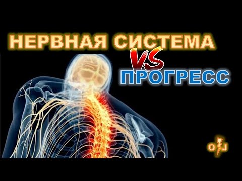 Видео: Влияние нервной системы на прогресс в тренировках