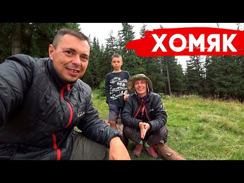 Видео: Хомяк — поход выходного дня: из Татарова через водопад Гук и спуск в Буковель